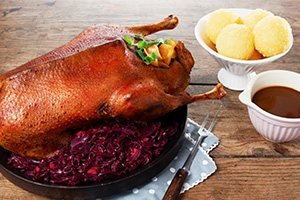 Gans+Ente_300x200_25